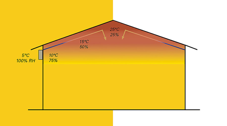 climate broiler health