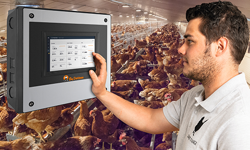 Egg Production Software