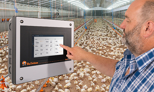 Poultry Housing and Management