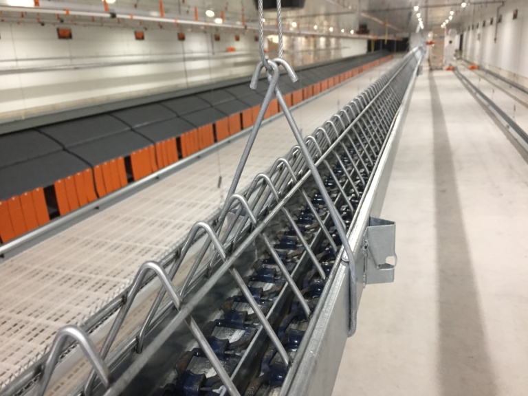DuoChain for increased breeder hen feed space