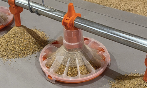 Vista 330 broiler feed pan from Big Dutchman